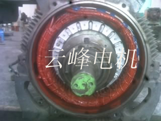 500KW进口电机