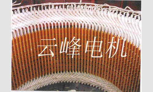 定子大修完毕